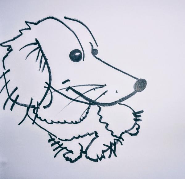 Dog Caricatures 4