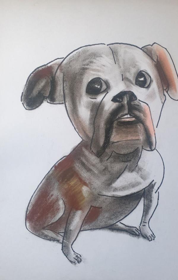 Dog Caricatures 19