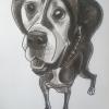 Dog caricatures