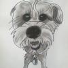 Dog Caricatures 20