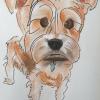 Dog Caricatures 21